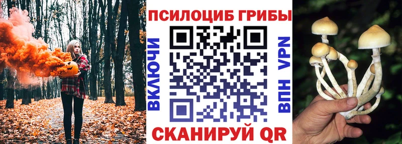 Галлюциногенные грибы Cubensis  Одинцово 